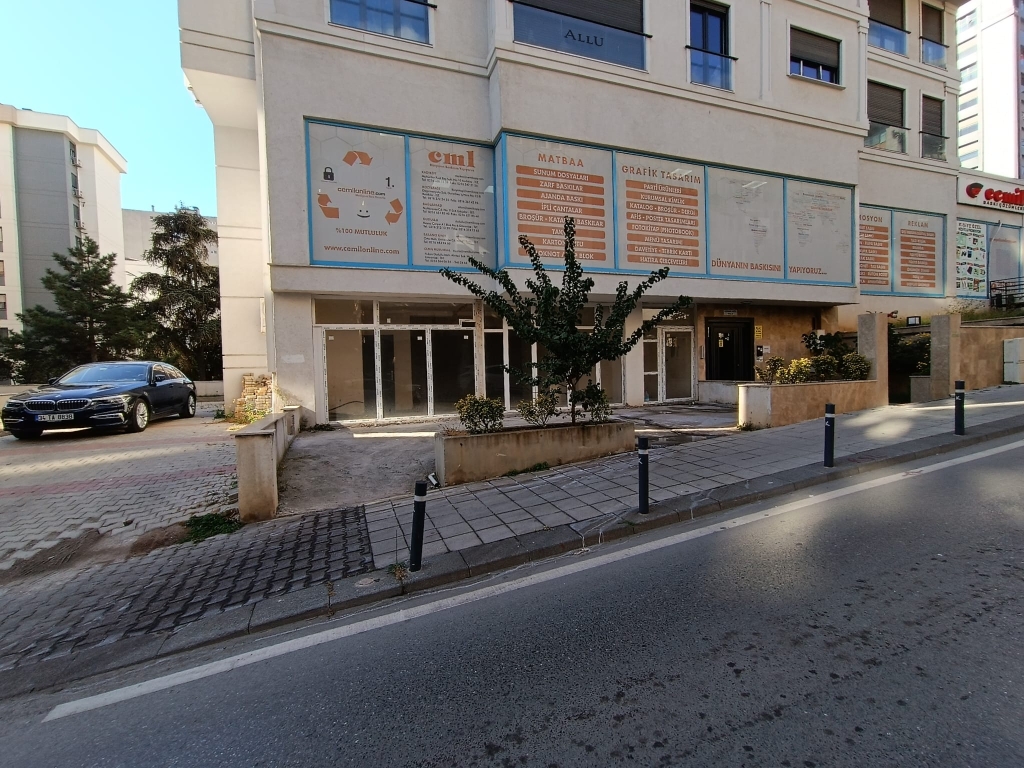 WhatsApp Image 2024-11-11 at 11.09.29 (3)